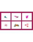 Oiseaux-Fleurs