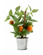 Decorazioni naturali